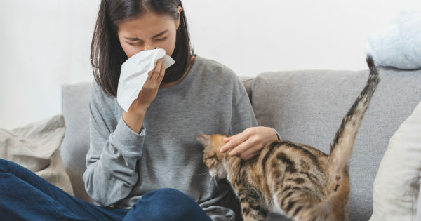 alergia a las mascotas