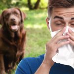 tienes alergia a las mascotas