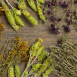 Plantas medicinales