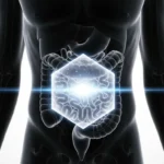 Barrera intestinal