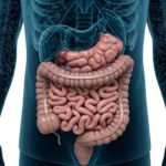 Flora intestinal